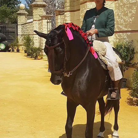 Palacio El Duende-parking Privado-terraza Vista Catedral Old Town * Jerez de la Frontera