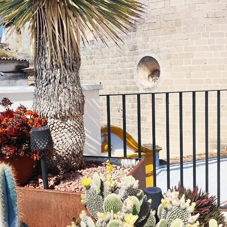 Palacio El Duende Old Town Parking Gratis Terraza Vista Catedral Alcazar *