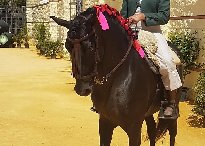 Palacio El Duende-parking Privado-terraza Vista Catedral Old Town * Jerez de la Frontera