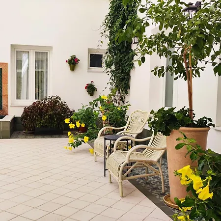 公寓 Palacio El Duende-parking Privado-terraza Vista Catedral Old Town *