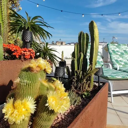 Palacio El Duende-parking Privado-terraza Vista Catedral Old Town *